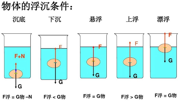 初中物理:苏教版八年级下册 浮力知识点总结 - 初中物理 - 英才学习网